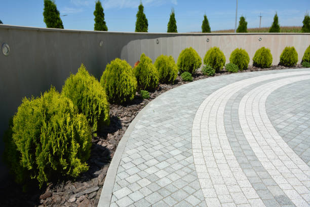 Best Custom Driveway Pavers  in Lewiston, CA